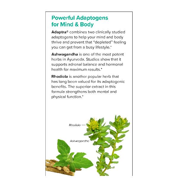 Adaptra 60 Capsules - Image 3